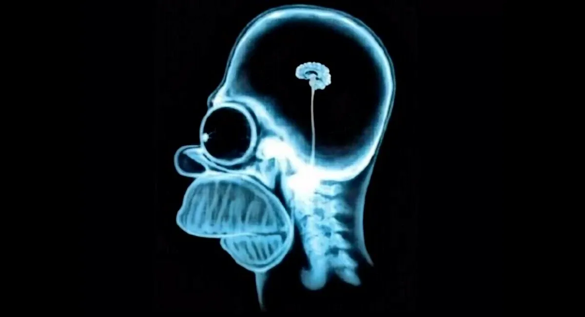 La Inteligencia Artificial esta dejando menos Inteligente a la Educación