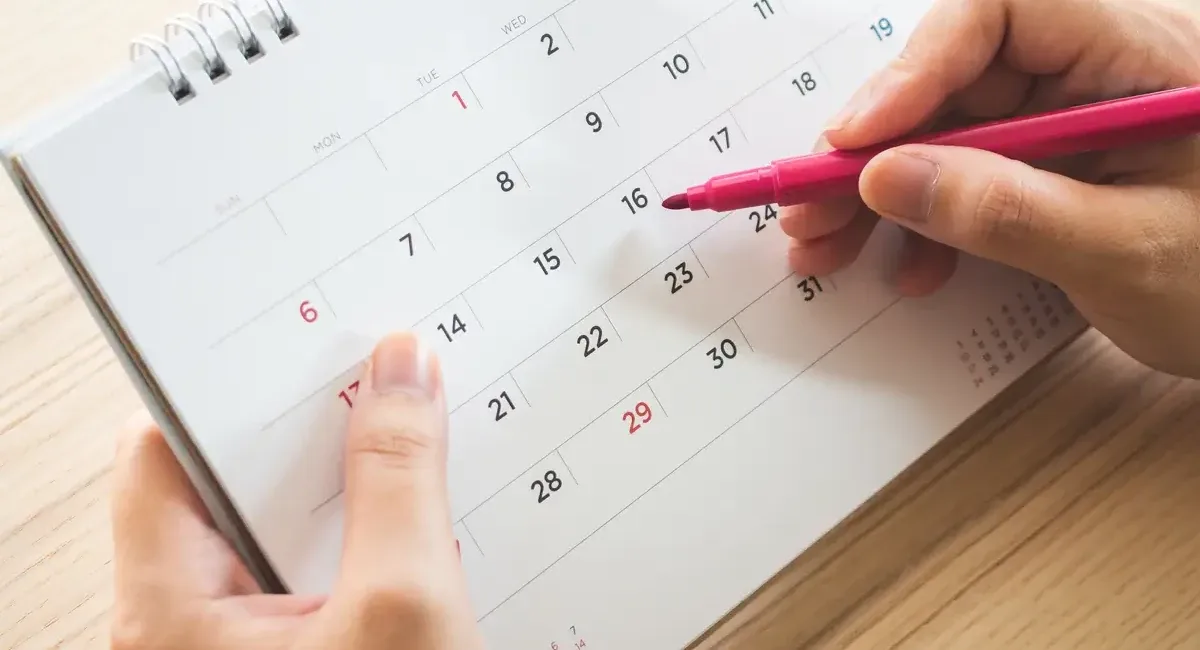 📘 Guía PAU 2026: Fechas y novedades