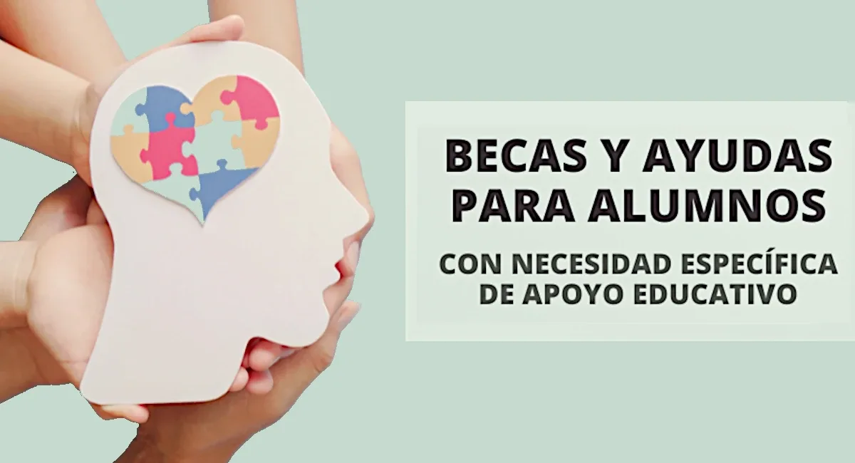 Cuenta atrás para pedir las ayudas del Ministerio para alumnos con discapacidad