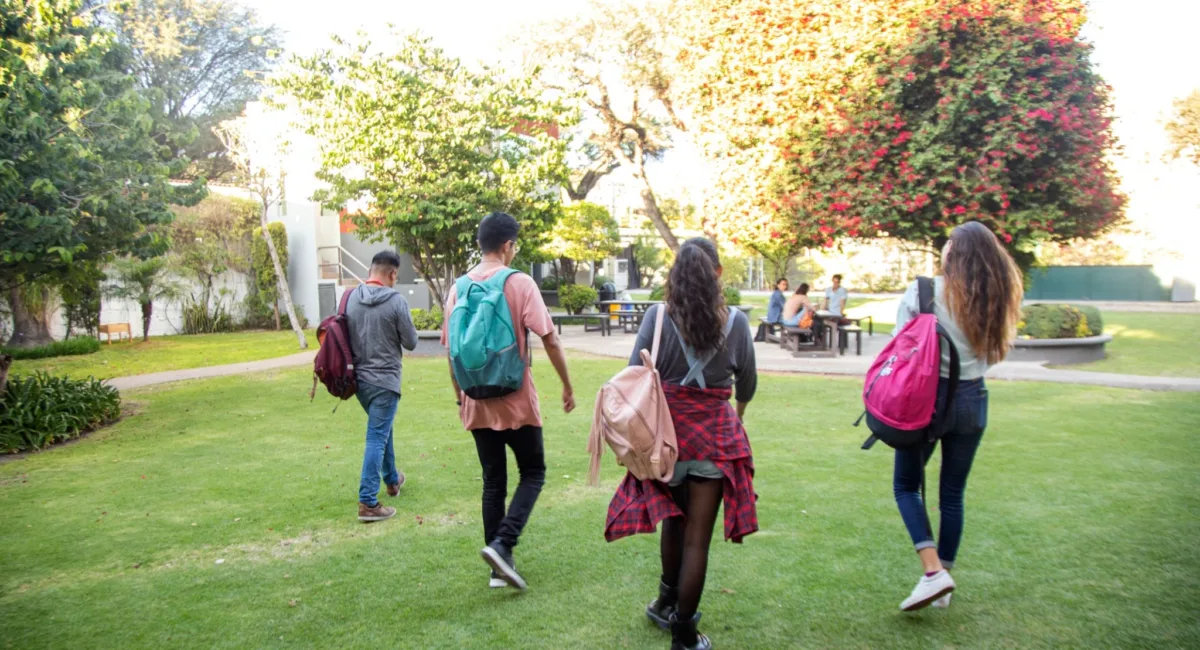 El Gobierno aprueba el nuevo Estatuto del Estudiantado: vivienda, salud mental, límites a la IA y derecho a paro académico